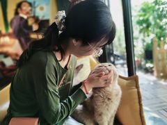 -咖法森林·咖啡  酒吧(天河店)