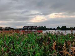 -芒洲湿地公园