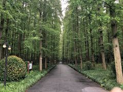 -上海怡沁园度假酒店