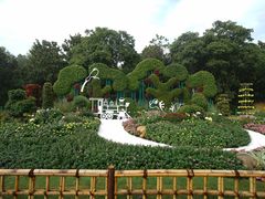 -上海共青森林公园