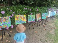 -上海长兴岛郊野公园