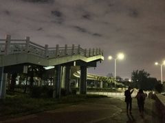 -宝安西湾红树林湿地公园