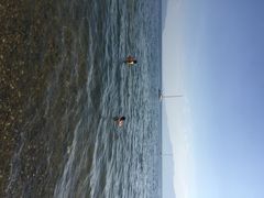 iphone_upload_pic-抚仙湖万达文华酒店