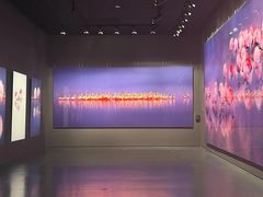 -罗红摄影艺术馆