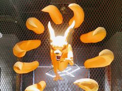 -鼎牛牛炖锅·烤串(温泉路店)