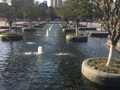 -白塘生态植物园