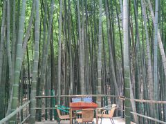 -宝岩生态观光园