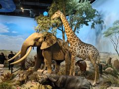 -陕西自然博物馆