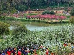 -南国桃园旅游度假区