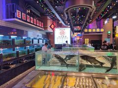水产区-王庄阿咪海鲜大排档(象园店)