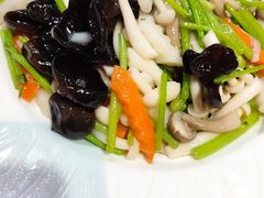 茼蒿爆双菇-东北大院·东北菜(三台子店)