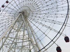 -琴岛之星摩天轮