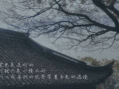 -上海佘山国家森林公园天马山园