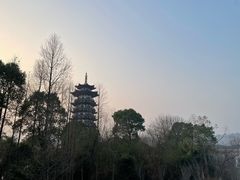-洋湖国家湿地公园