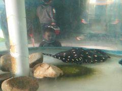 -泉州海丝野生动物世界