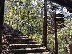 -龙湾潭国家森林公园
