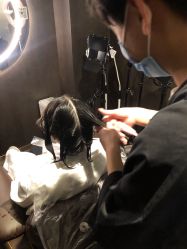 -崇尚GAVIN STYLE臻选