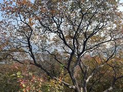 -北京水岸山吧度假村(雁栖镇店)