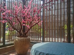 -阿细汉菜(本地盐帮菜名店)