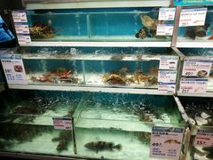 -盒马鲜生(莱蒙都会店)