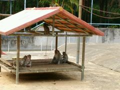 android_upload_pic-广东茂名森林公园