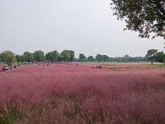 -汉长安城未央宫国家考古遗址公园