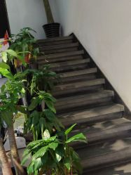 -魔型社