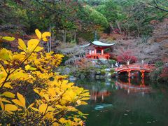 -醍醐寺