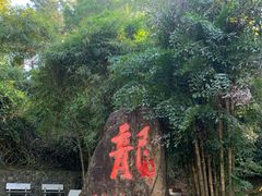 -分塔山省级森林公园