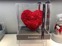 -ROSEONLY诺誓(广州K11店)