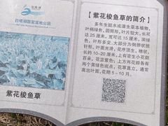 -白塔湖国家湿地公园