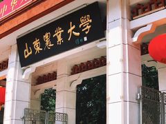 -山东农业大学(岱宗校区)