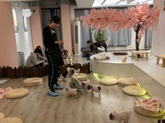 -浣熊柯尔鸭土拨鼠·电玩咖