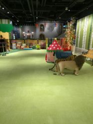 -幻贝家儿童乐园(苏州中心店)