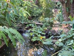 -海南热带野生动植物园