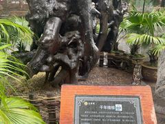 -大槐树寻根祭祖园