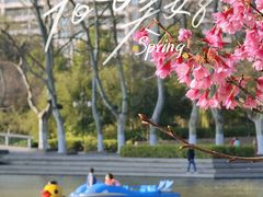 -红梅公园