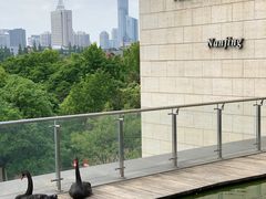 -行者书屋大堂吧 ·下午茶(南京圣和府邸酒店)