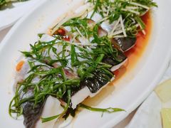 清蒸巴沙鱼-金利茶餐厅(中船汇店)