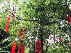 -梦姑塘文化公园