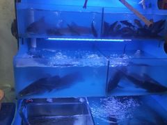 -韩妹鱼庄·泸定老字号(泸定店)