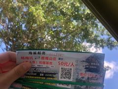 -杨梅坑