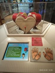 -北京科学中心儿童乐园