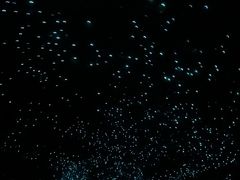-怀托摩萤火虫洞