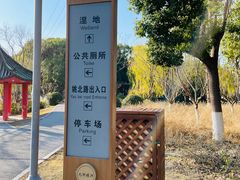 -九科绿洲