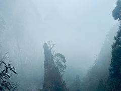 -刘伯温故里景区百丈漈