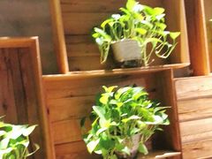 -比格比萨自助(花园路店)