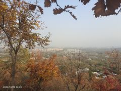 -北京鹫峰国家森林公园