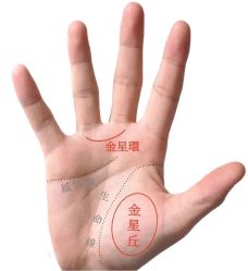 -M13瑾玳•专业美甲美睫