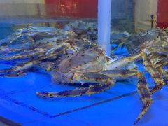 -红顶食府(滨湖九号店)